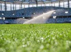 激情飞扬,苏超首冠荣,耀诞生,九游会·J9,J9九游会官方网站,j9九游会,九游会·J9官网