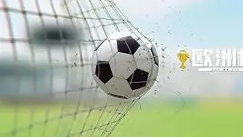 大连英博虽败犹荣，主场激情点燃中超收官战，6万球迷见证胜利的尊严时刻