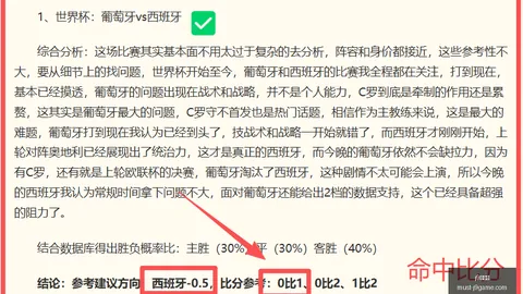 9九游会 151041